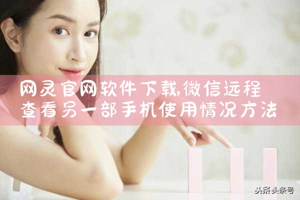 网灵官网软件下载
