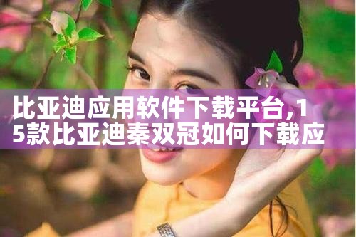 比亚迪应用软件下载平台