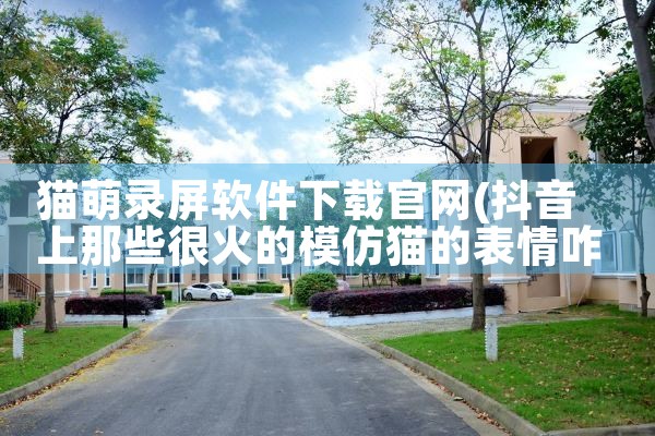 猫萌录屏软件下载官网