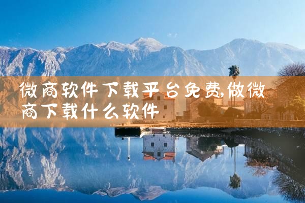 微商软件下载平台免费