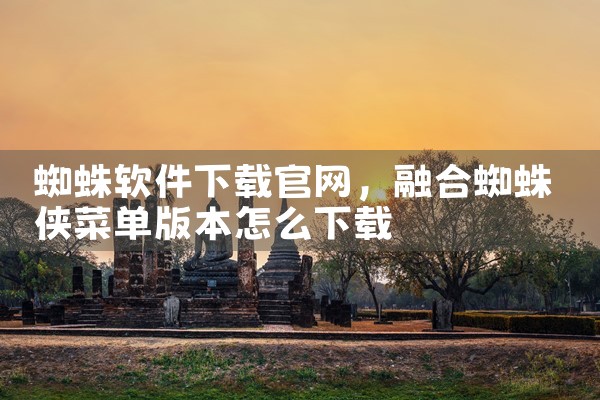 蜘蛛软件下载官网