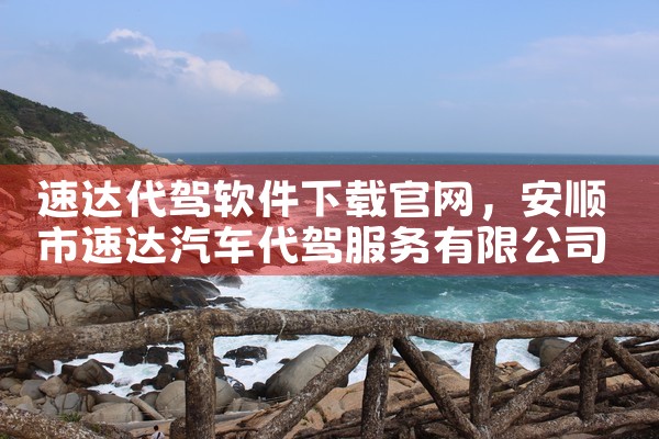 速达代驾软件下载官网