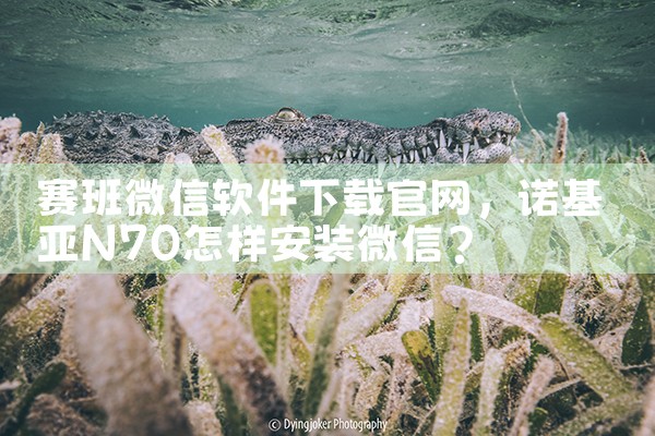 赛班微信软件下载官网