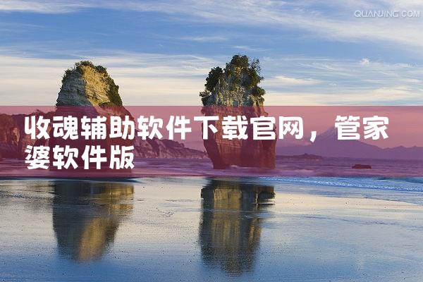 收魂辅助软件下载官网