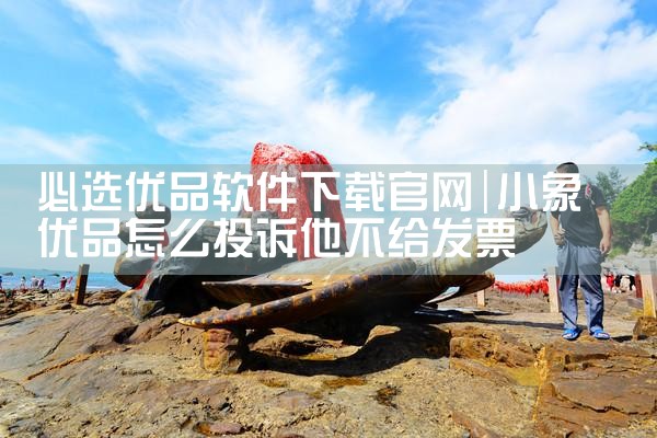 必选优品软件下载官网