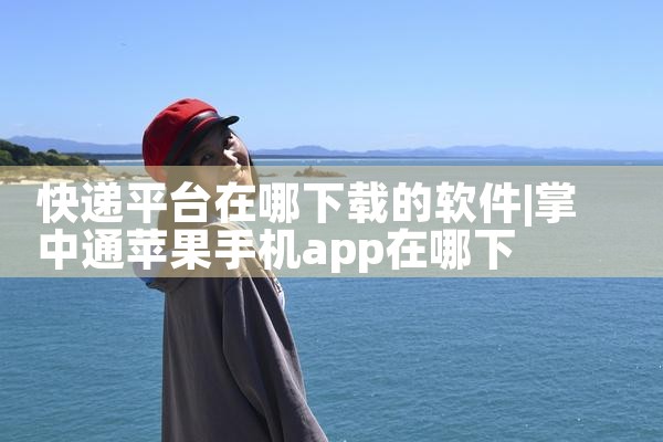 快递平台在哪下载的软件